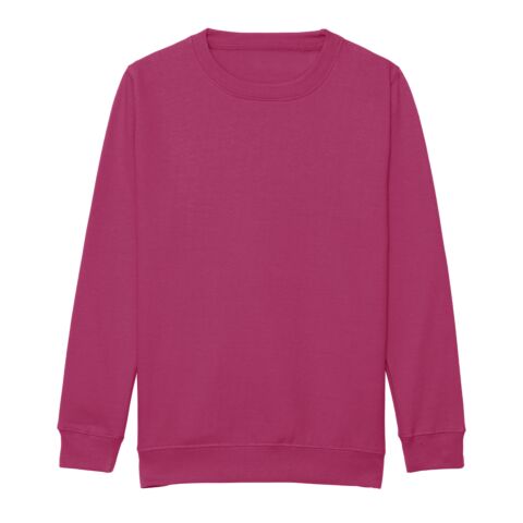 Kids AWDis sweatshirt