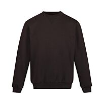 Pro crew neck sweatshirt