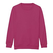 Kids AWDis sweatshirt